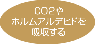 CO2やホルムアルデヒドを吸収する