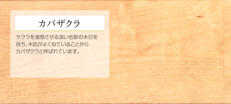 カバザクラ サクラを連想させる淡い色彩の木目を持ち、木肌がよく似ていることからカバザクラと呼ばれています。