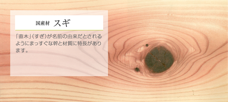 国産材 スギ 「直木」（すぎ）が名前の由来だとされるようにまっすぐな幹と材質に特長があります。